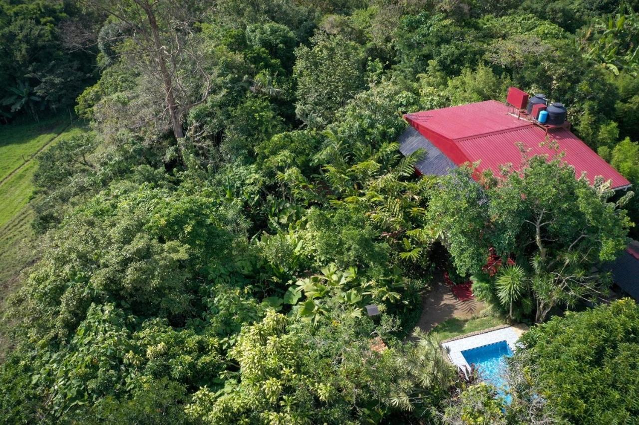 San Isidro  La Boruca B&B 외부 사진