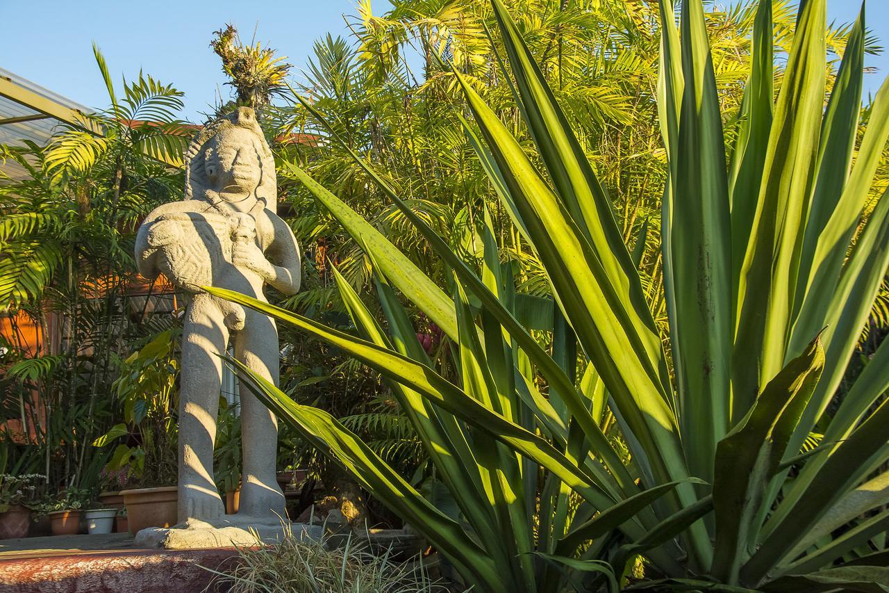 San Isidro  La Boruca B&B 외부 사진