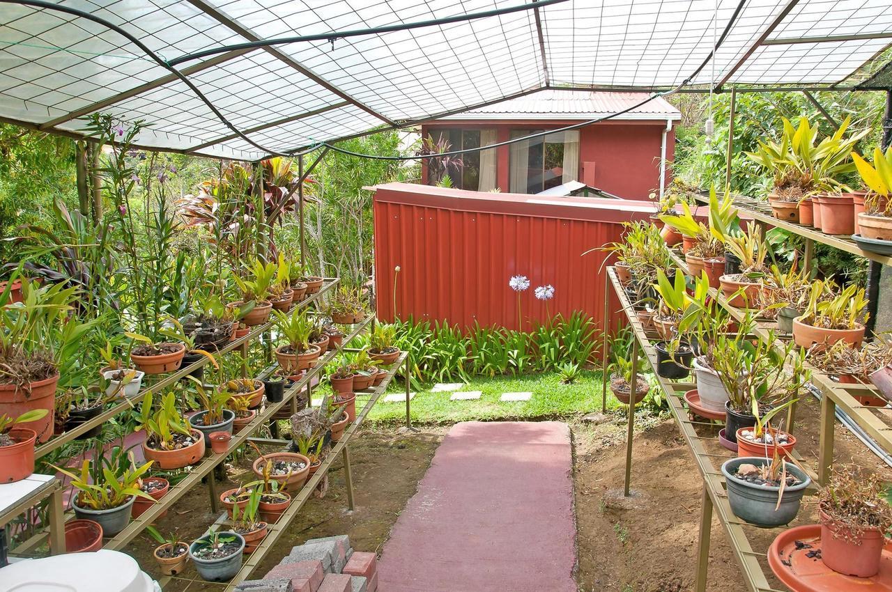 San Isidro  La Boruca B&B 외부 사진