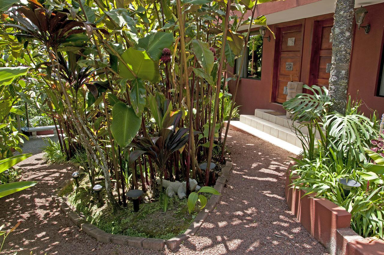 San Isidro  La Boruca B&B 외부 사진